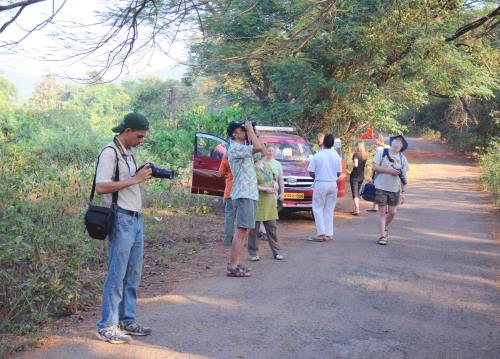 bird watching in goa, bondla