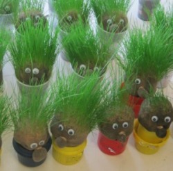 bunch of grass heads