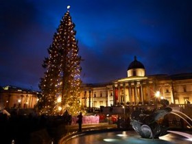 christmas tree at trafalgar square