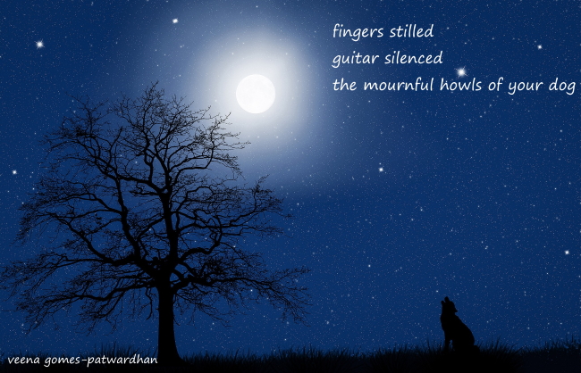 haiga dog loss