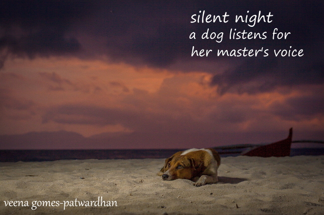 haiga lonely dog loss