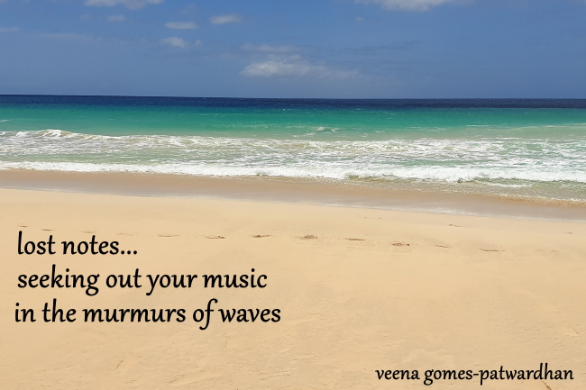 haiga waves loss