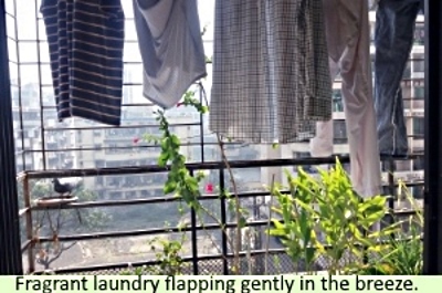 laundry in the balcony