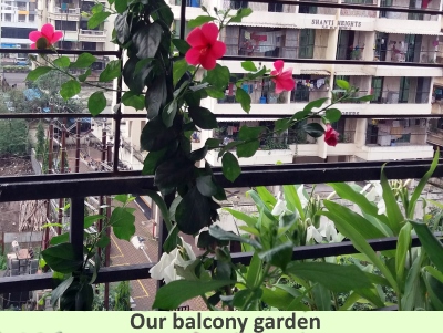 simple living urban gardening