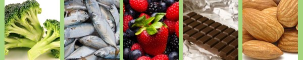 the best brain foods